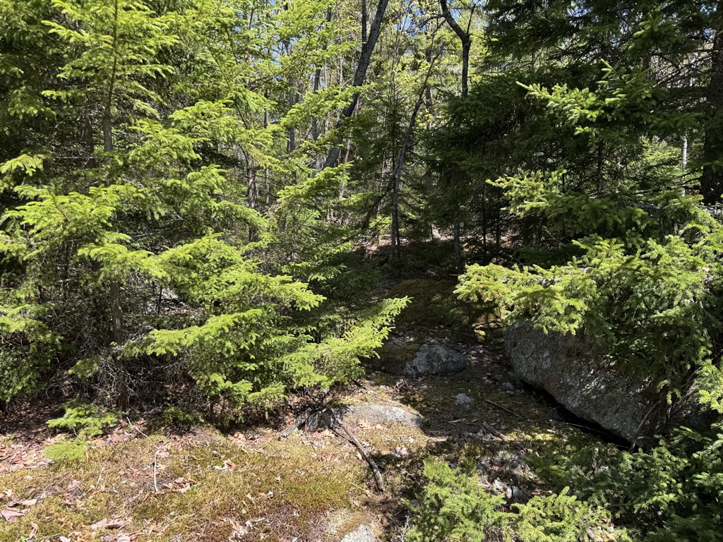 Photo №3 of Douglas Mountain