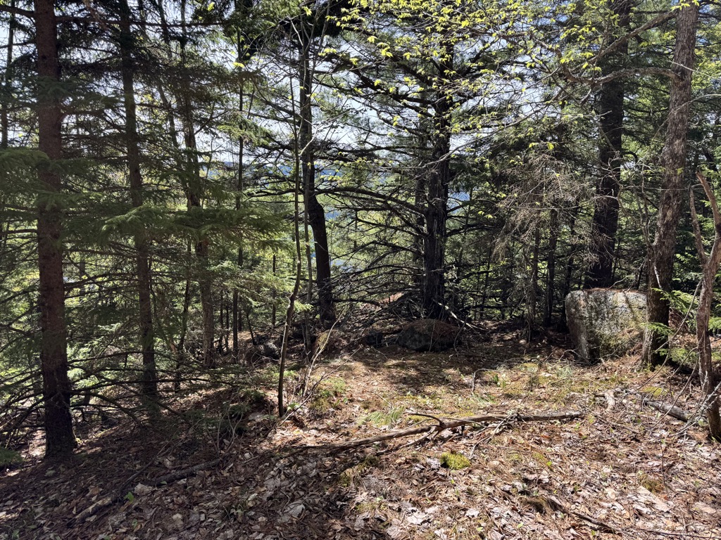 Photo №2 of Douglas Mountain