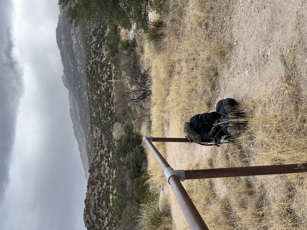 Douglas Spring