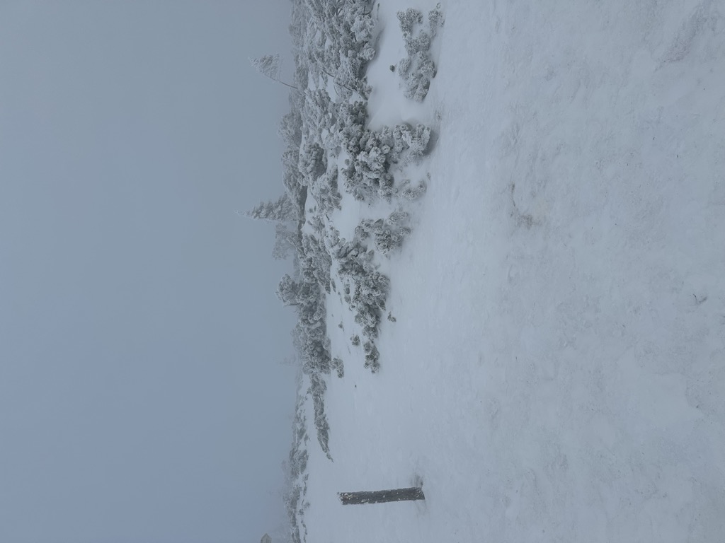 Photo №1 of Dracul, Mireasa și Gura Plânsă