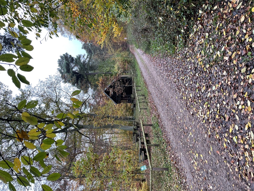 Photo №2 of An den drei Eichen