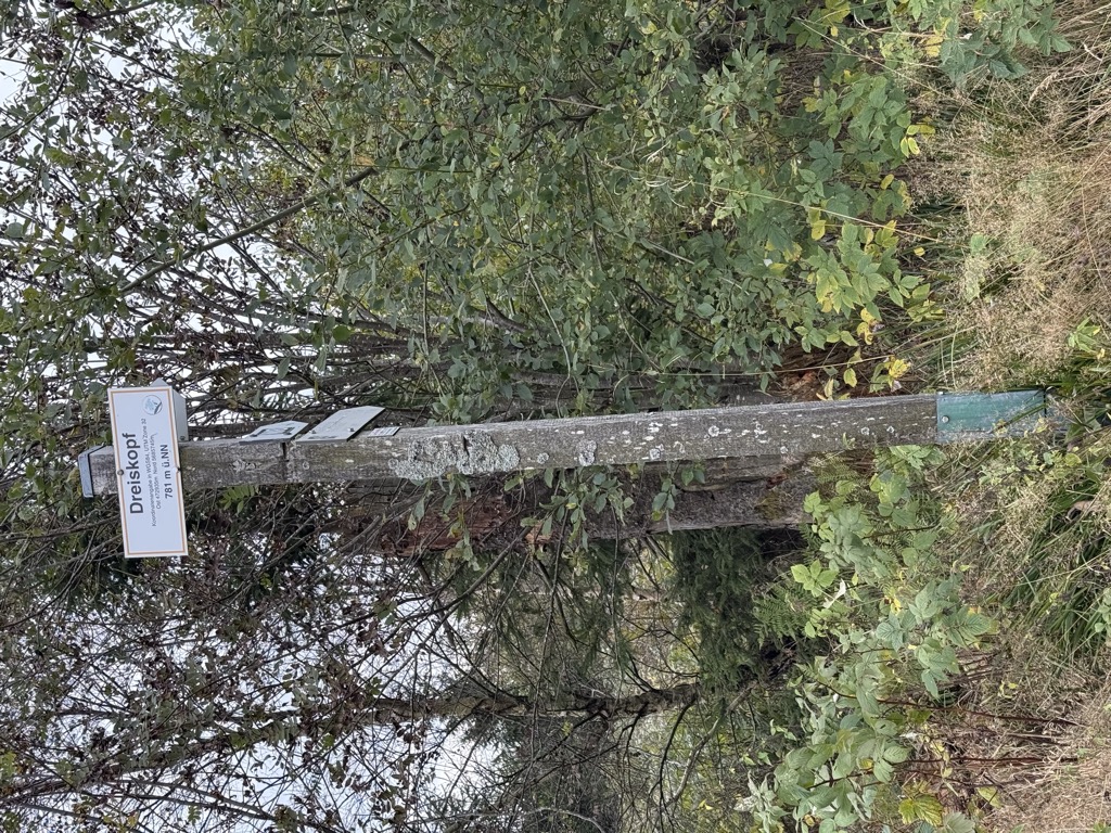 Photo №2 of Dreiskopf