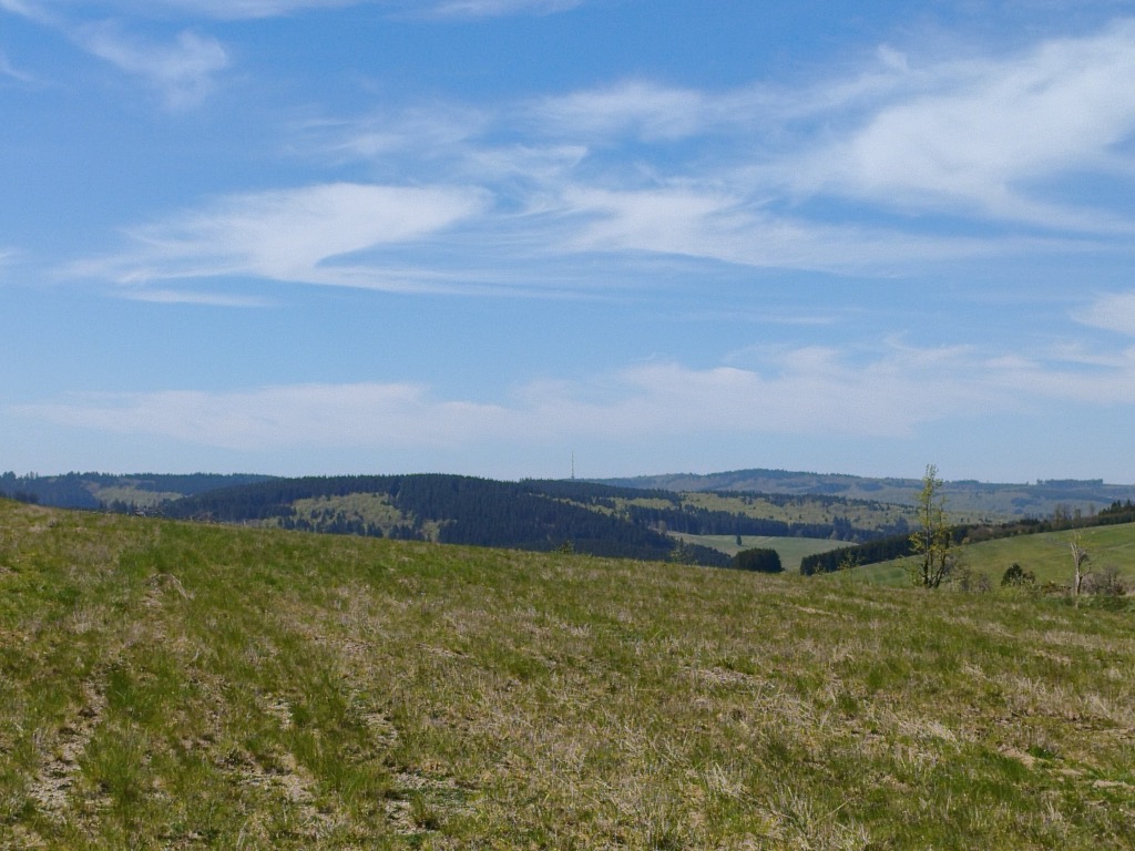 Photo №2 of Dumel