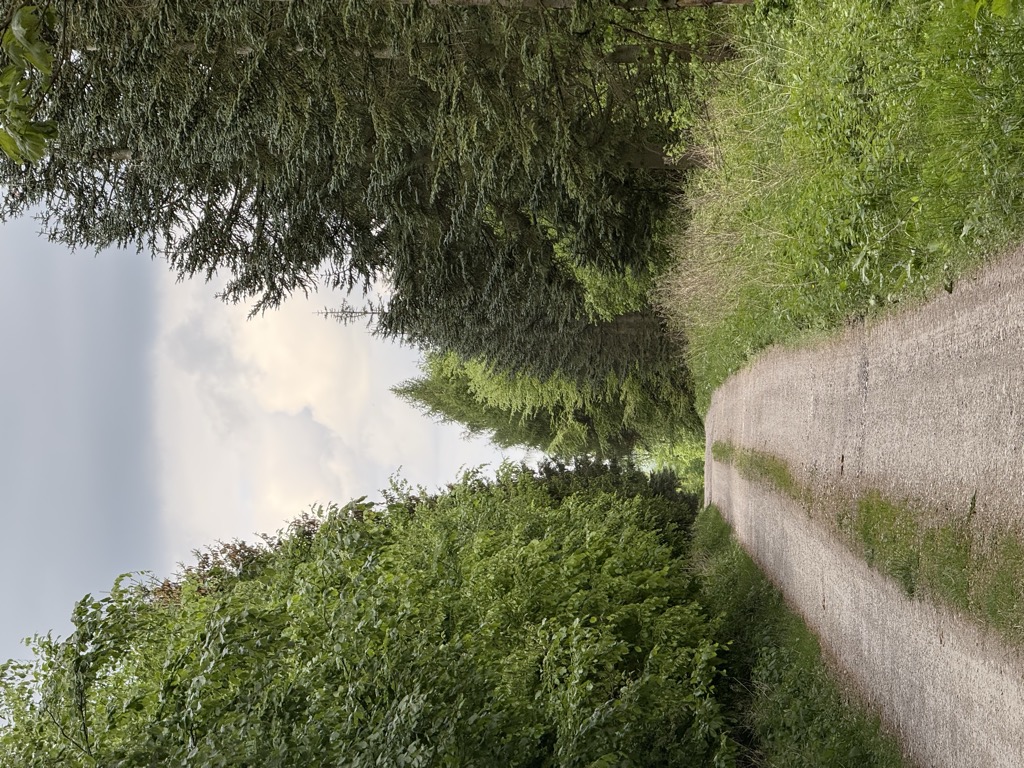 Photo №1 of Dunenberg