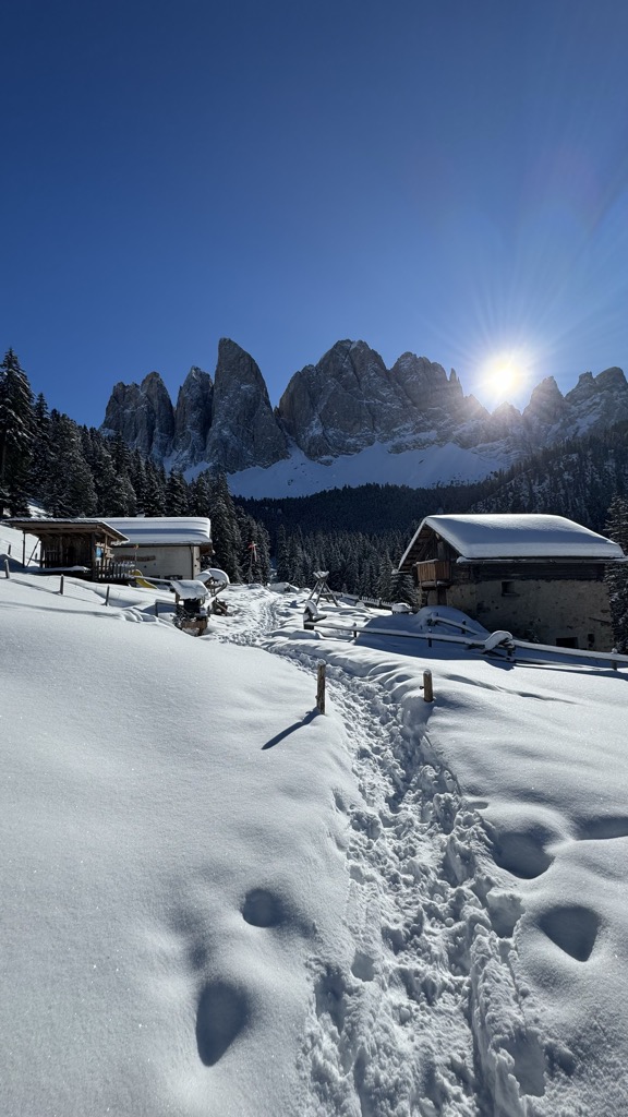 Photo №3 of Dusler Alm - Malga Dussel