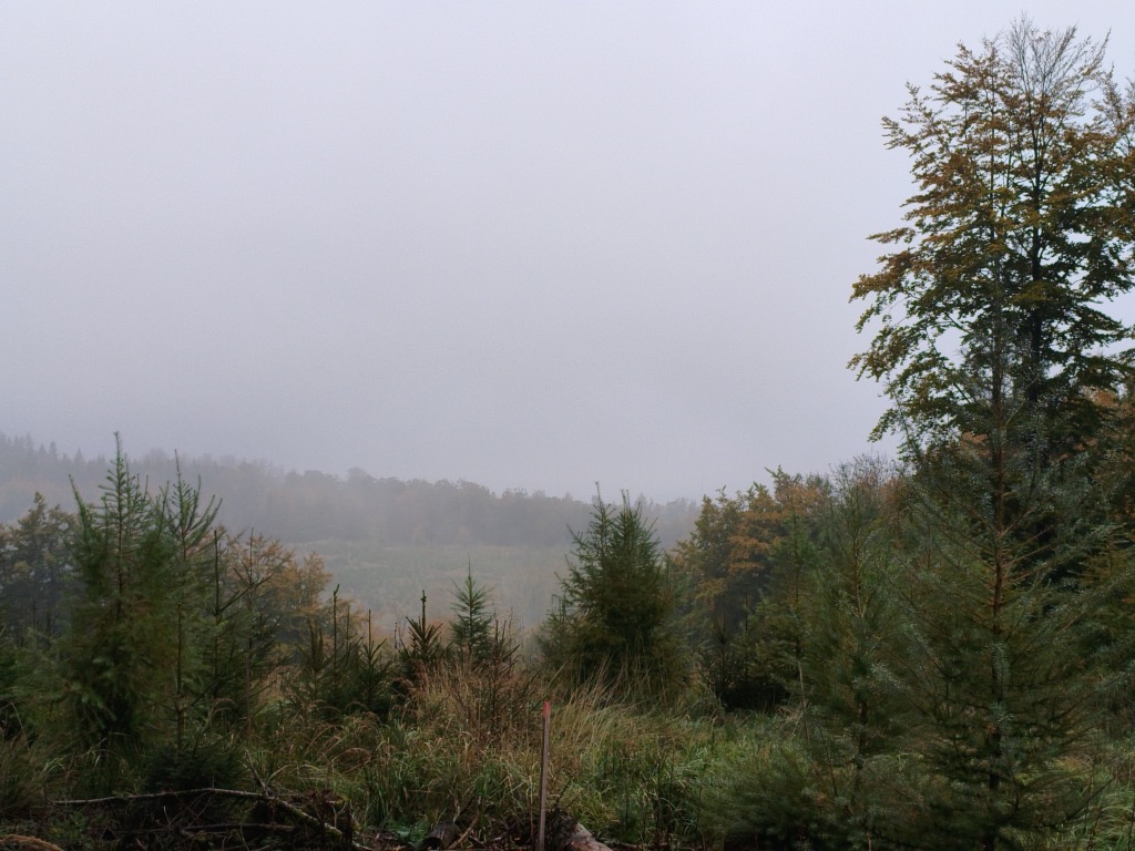Photo №2 of Düstere Köpfe
