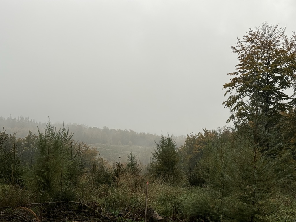 Photo №3 of Düstere Köpfe