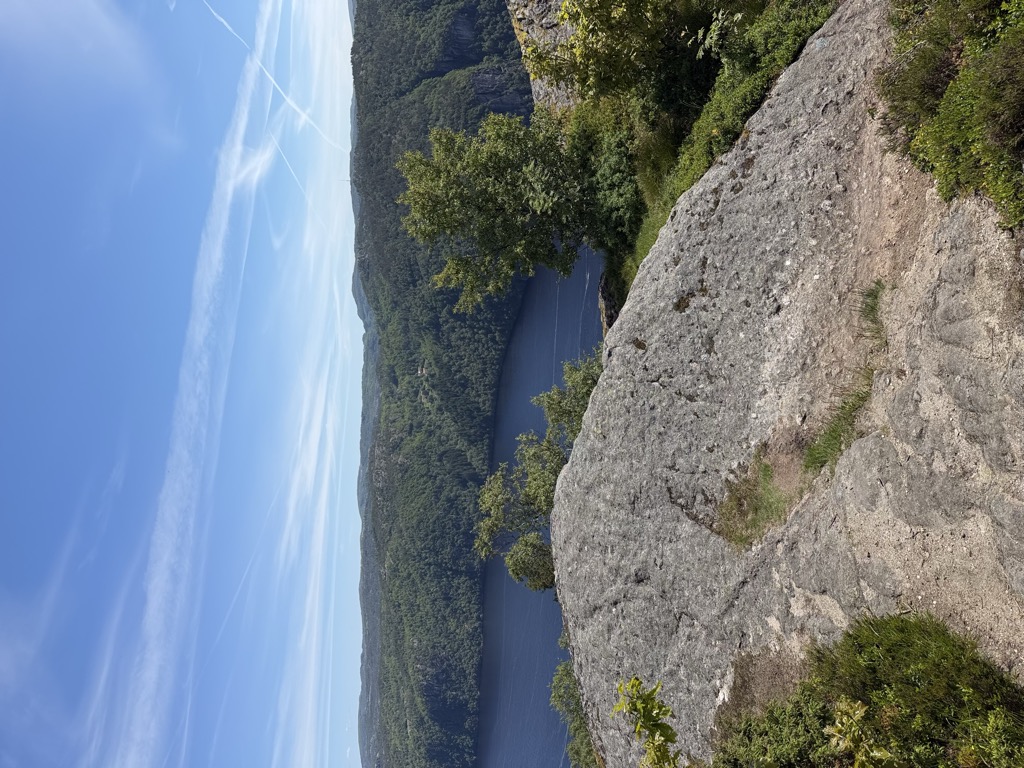 Photo №4 of Dyreknuten