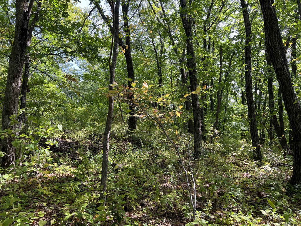 Photo №1 of East Jiaodebu Volcano