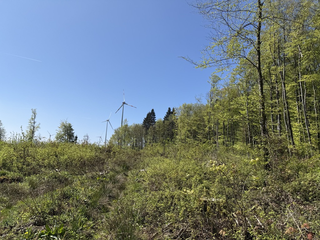 Photo №2 of Ebersberg