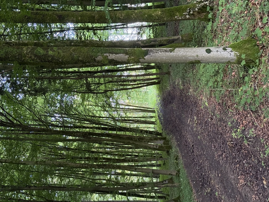 Photo №2 of Ebersberg