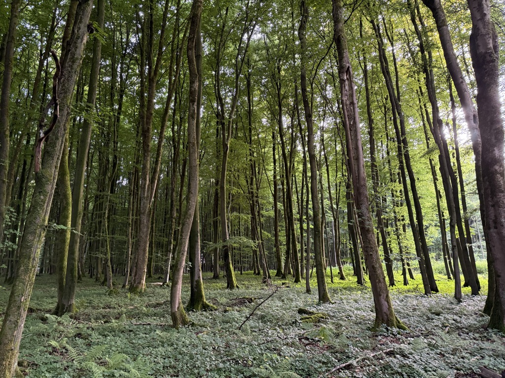 Photo №1 of Ebersberg