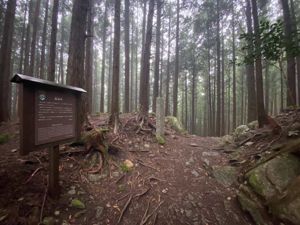 Photo №2 of Echizen-toge Pass