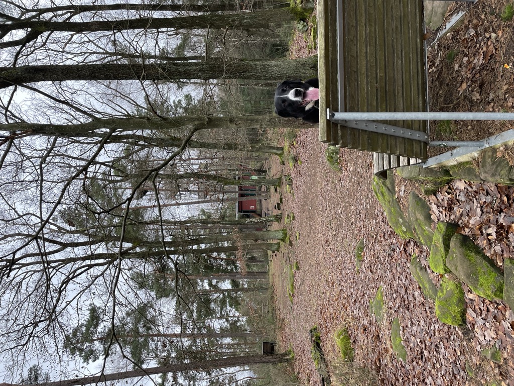 Photo №2 of Eckkopf