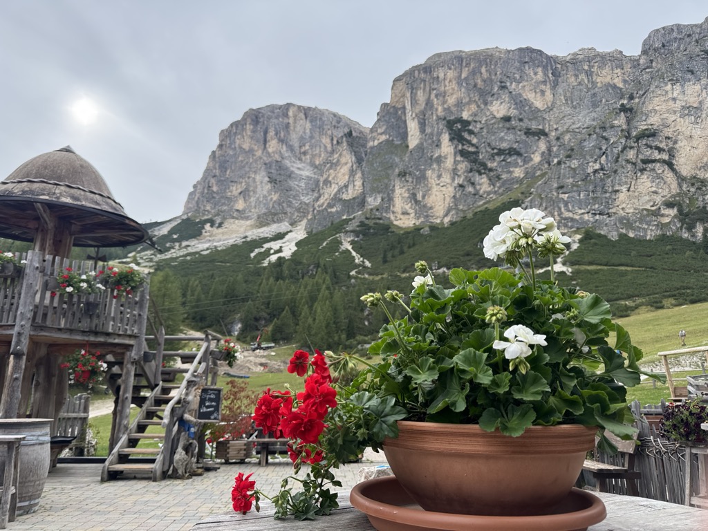 edelweisshutte-10