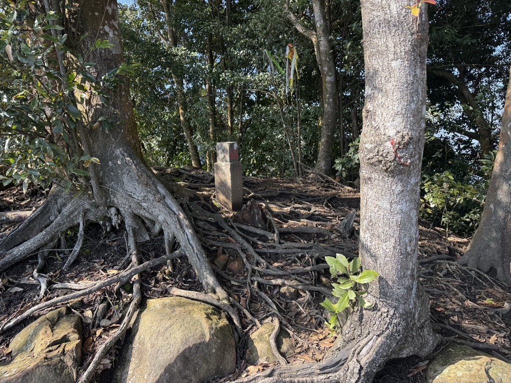 Photo №3 of Egongjidongbeifeng