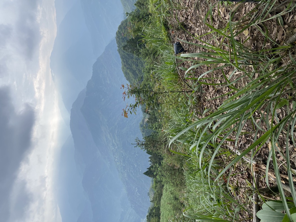 Photo №2 of Egongjidongbeifeng