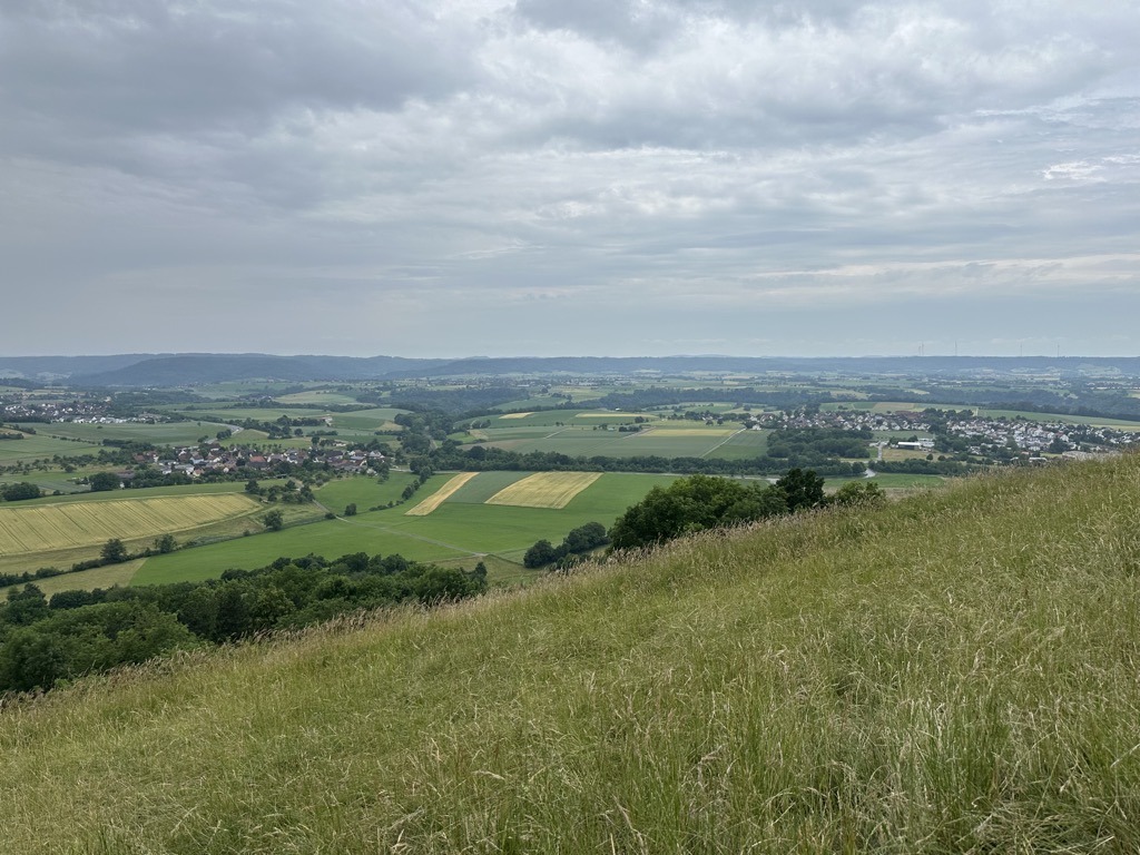 Photo №1 of Einkorn