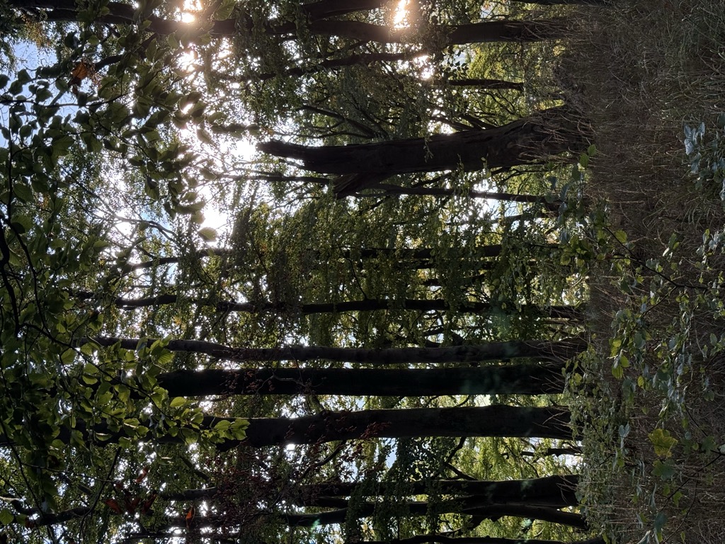 Photo №3 of Eisenberg