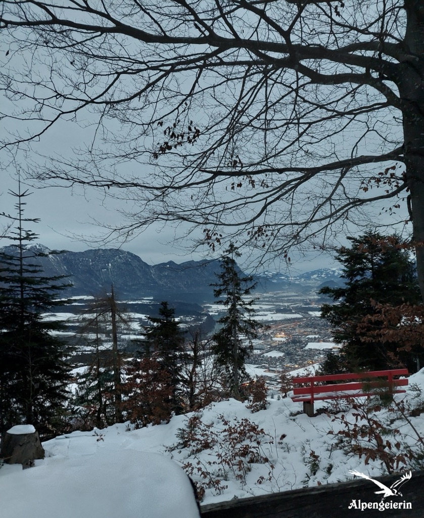 Photo №2 of Eisstein