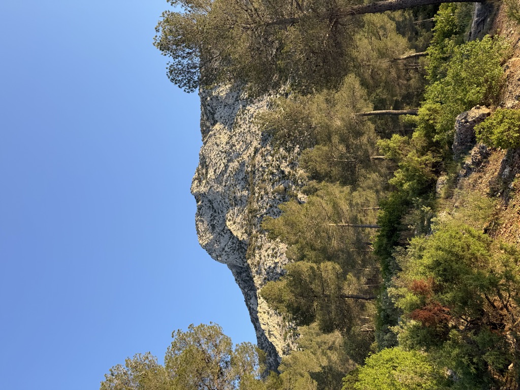 Photo №1 of El Bosque