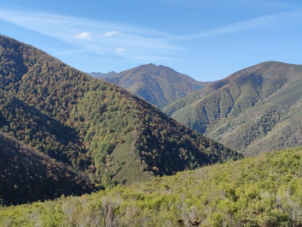 El Montecín