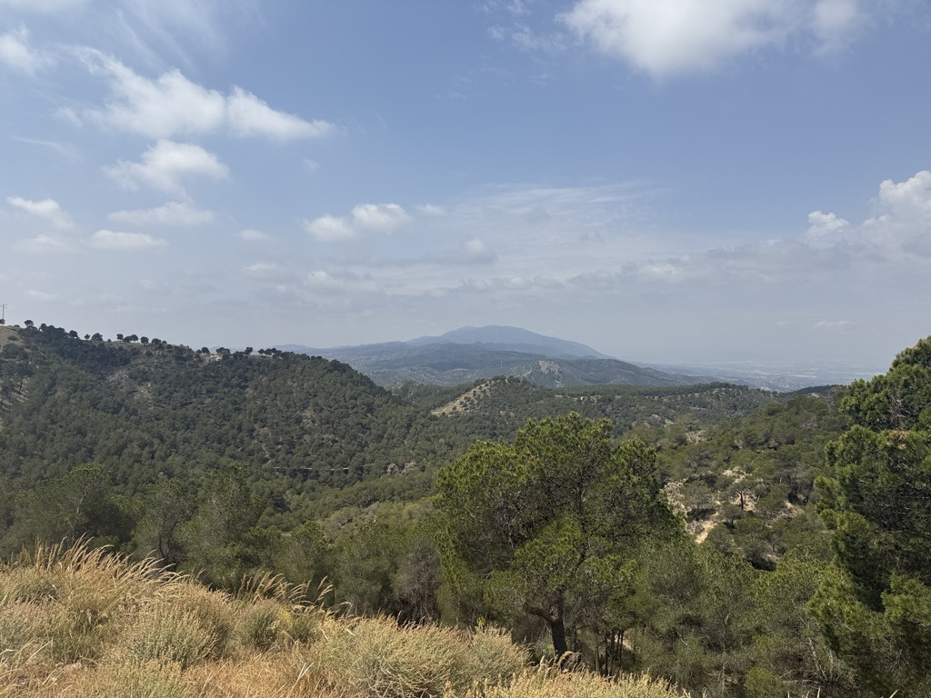 Photo №1 of El Relojero