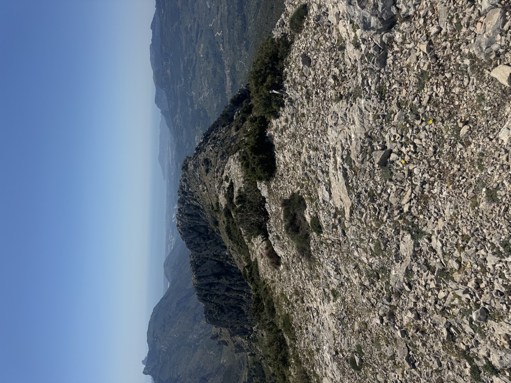 Photo №1 of El Tord