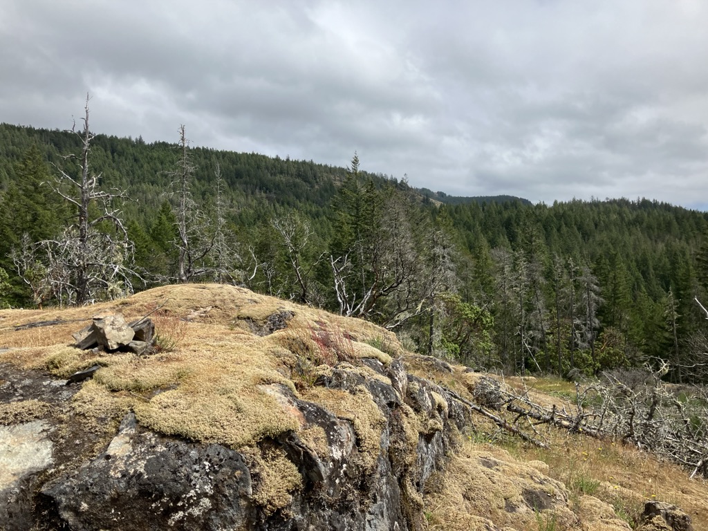 Photo №2 of Elephant Hill