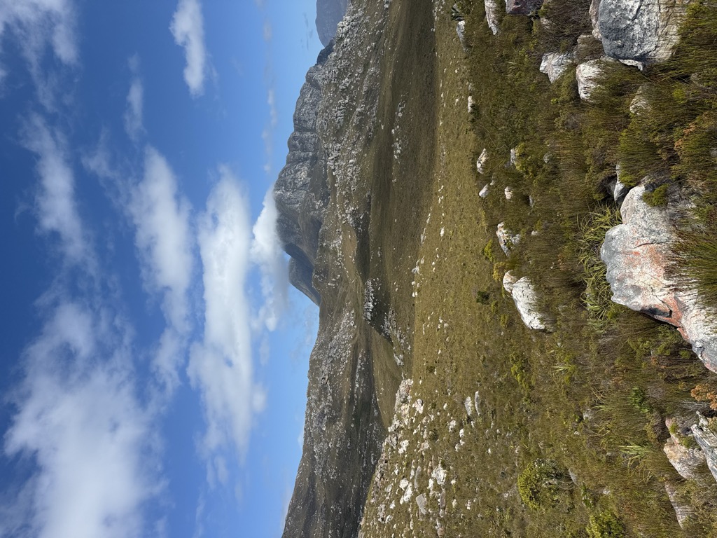 Photo №1 of Elephant Rock