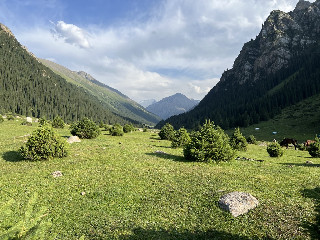 elza-guesthouse-hot-springs