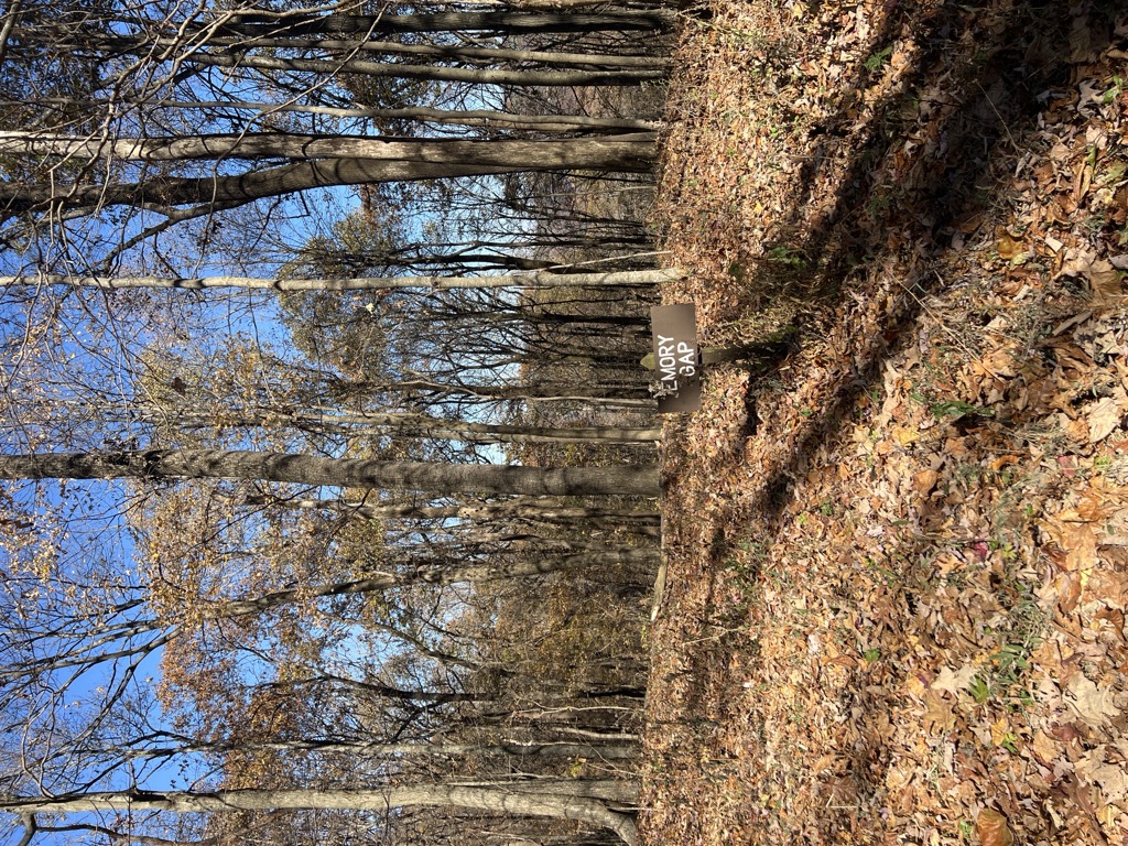 Photo №3 of Emory Gap