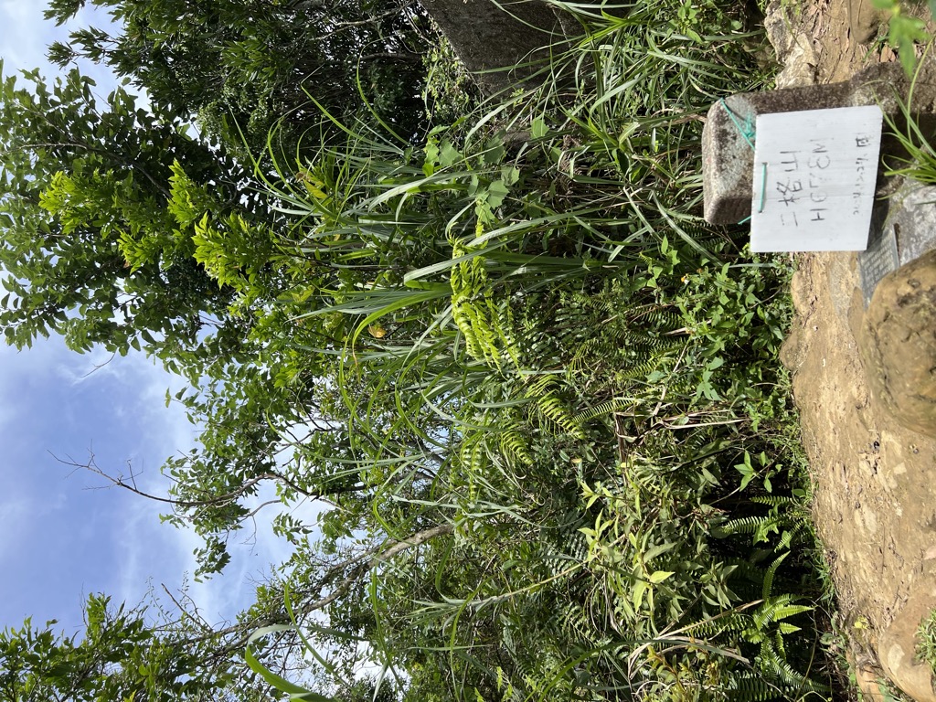 Photo №3 of Ergeshan