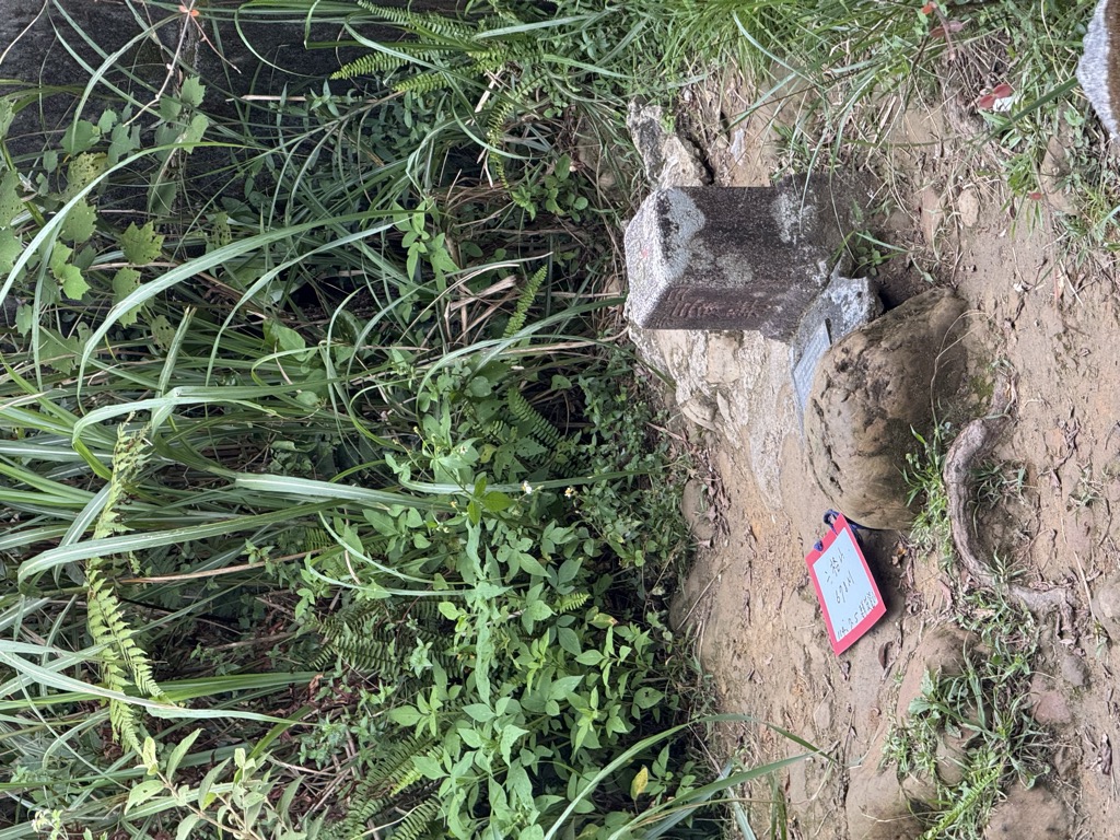 Photo №2 of Ergeshan