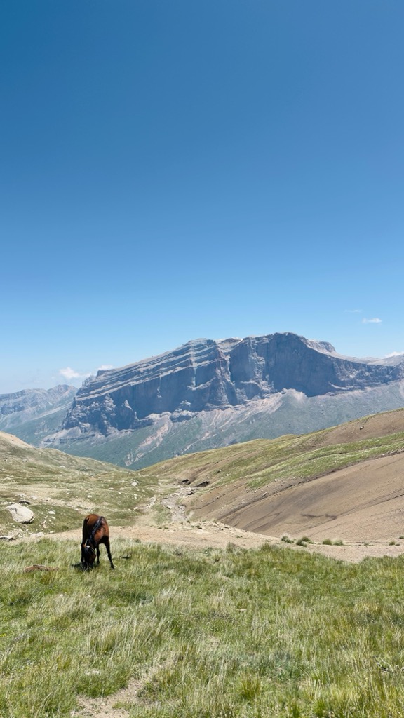 Photo №1 of Eridag