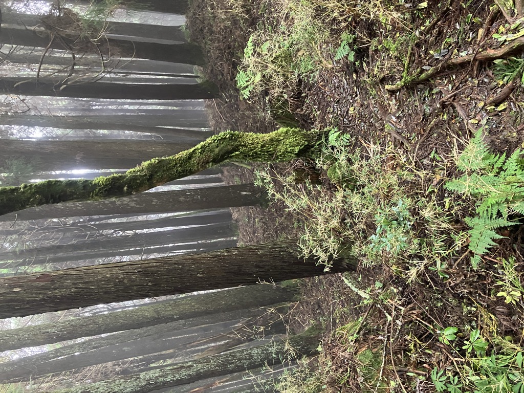 Photo №1 of Eryu Shan