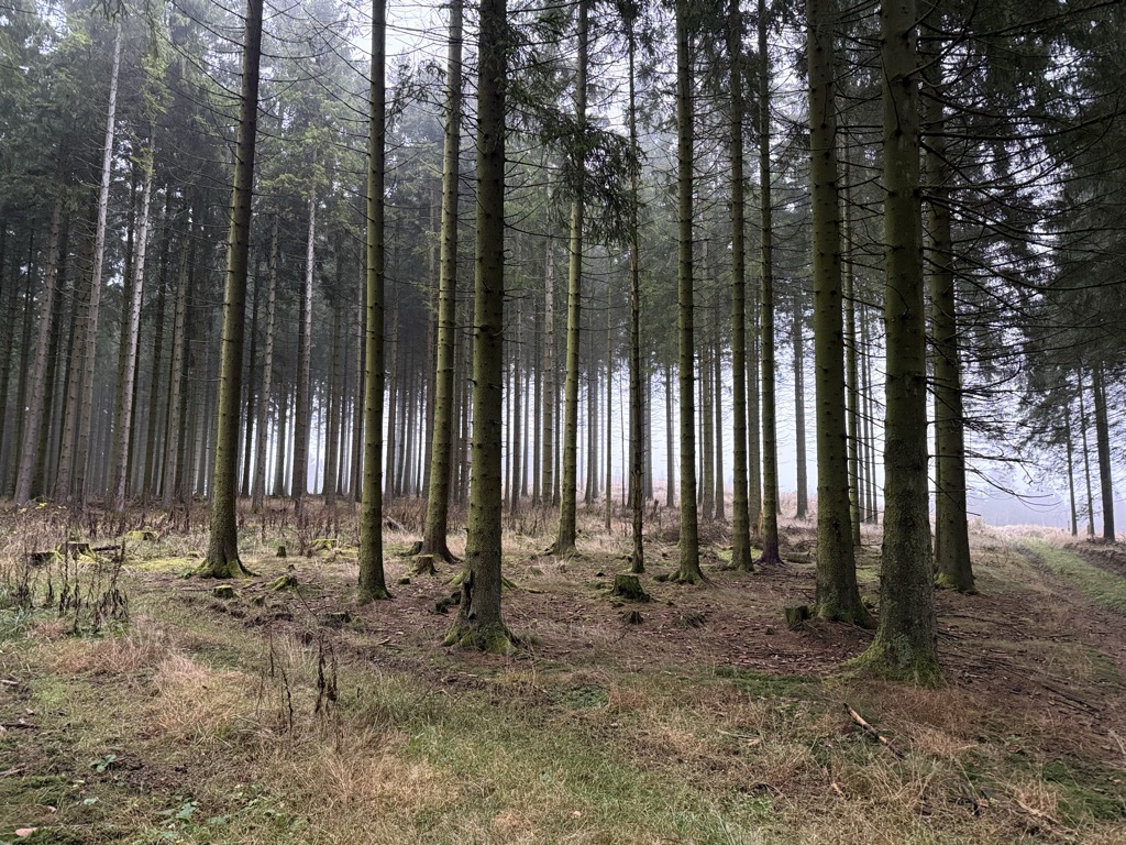 Photo №2 of Eschenberg