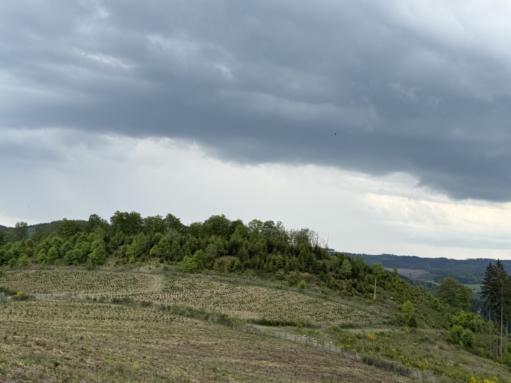 Photo №2 of Fahlenholz