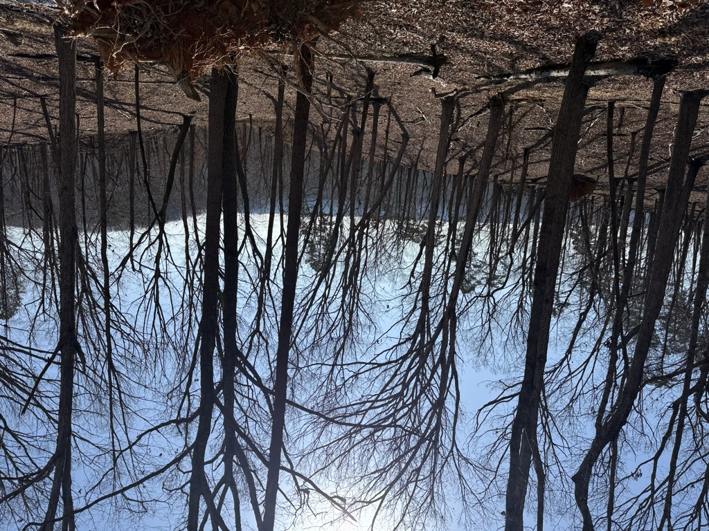 Photo №1 of Fall Mountain