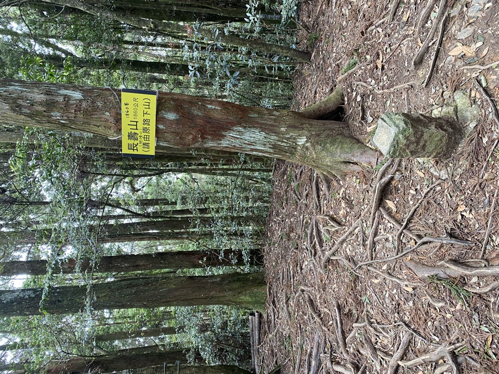 Photo №2 of Feidongshan