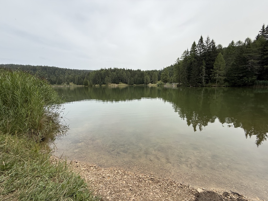 Photo №3 of Felixer Weiher - Lago di Tret