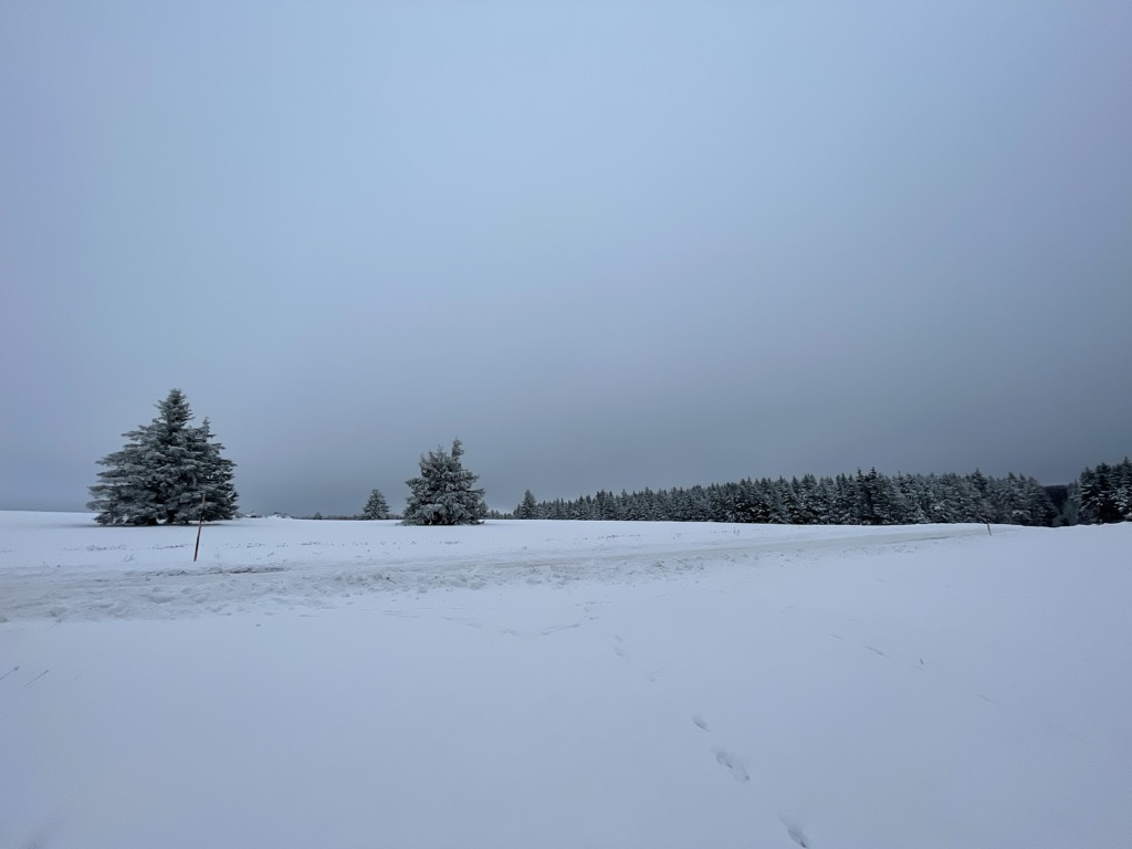 Photo №2 of Feuerberg (Rhön)
