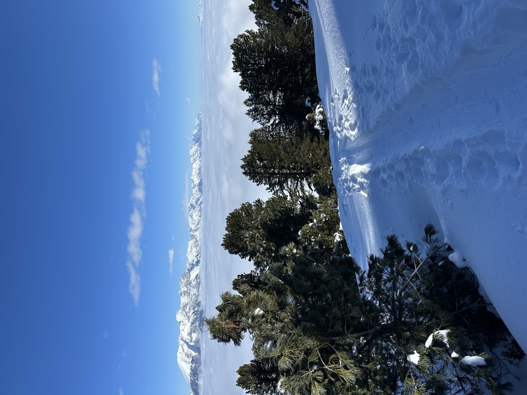Photo №2 of Figl
