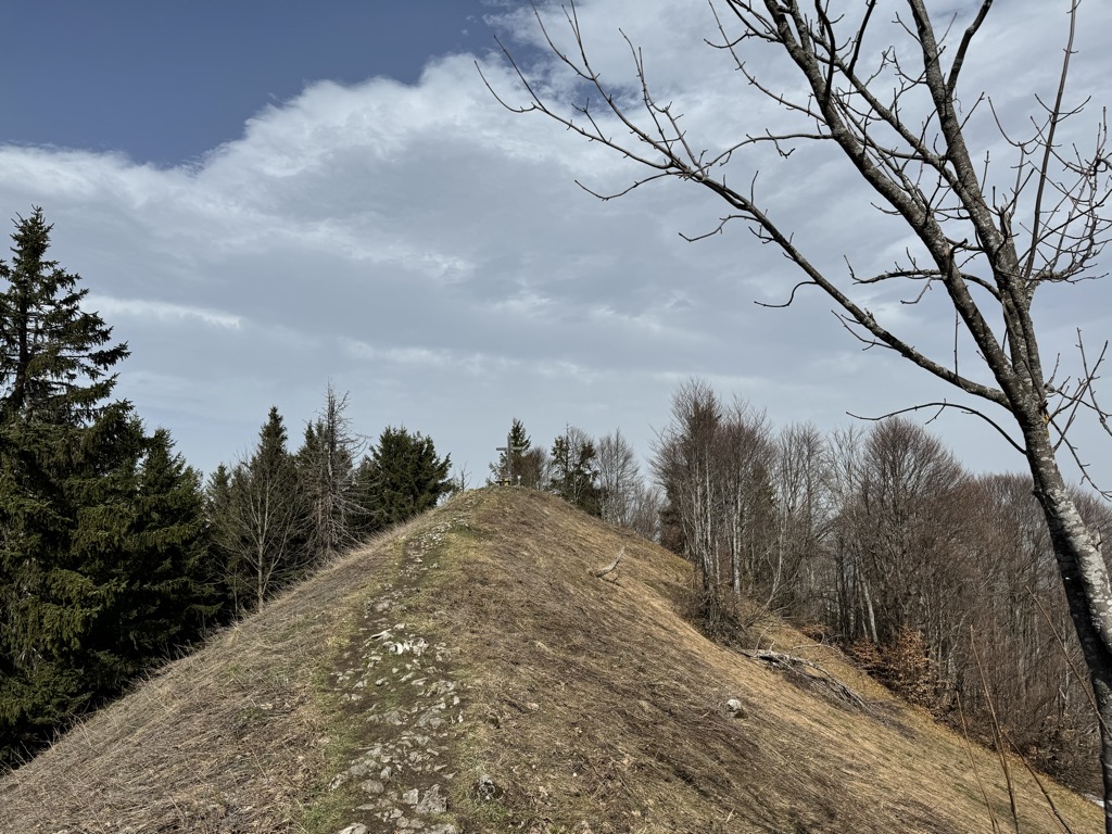 Photo №2 of Filbling