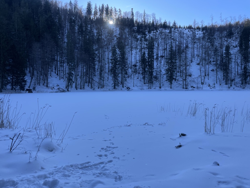 Photo №3 of Filblingsee