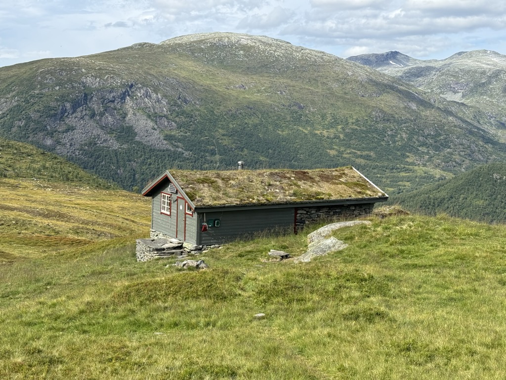 fivla