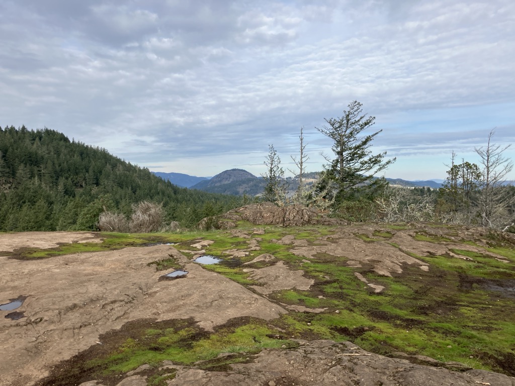 Photo №2 of Flatty Hill