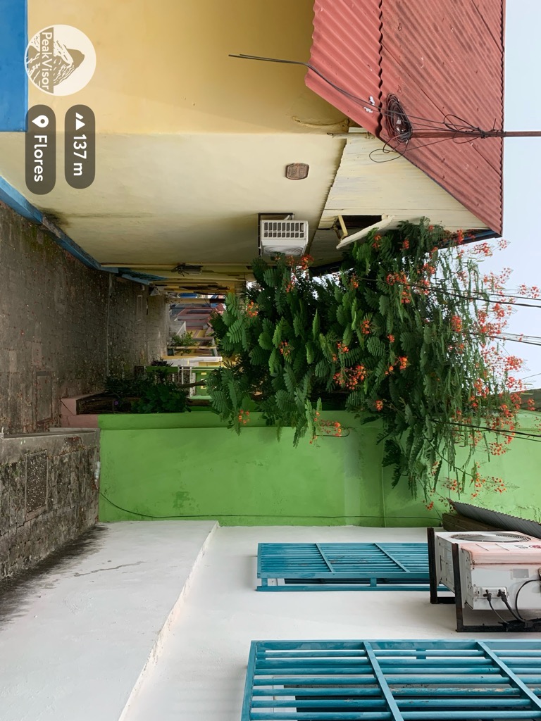 Photo №4 of Flores