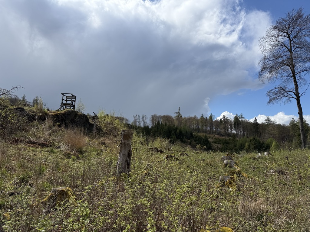 Photo №2 of Fohr
