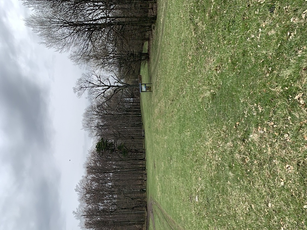 Photo №4 of Foltán-kereszt nyerge